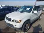 2004 Bmw X5 3.0i White vin: 5UXFA13514LU23886