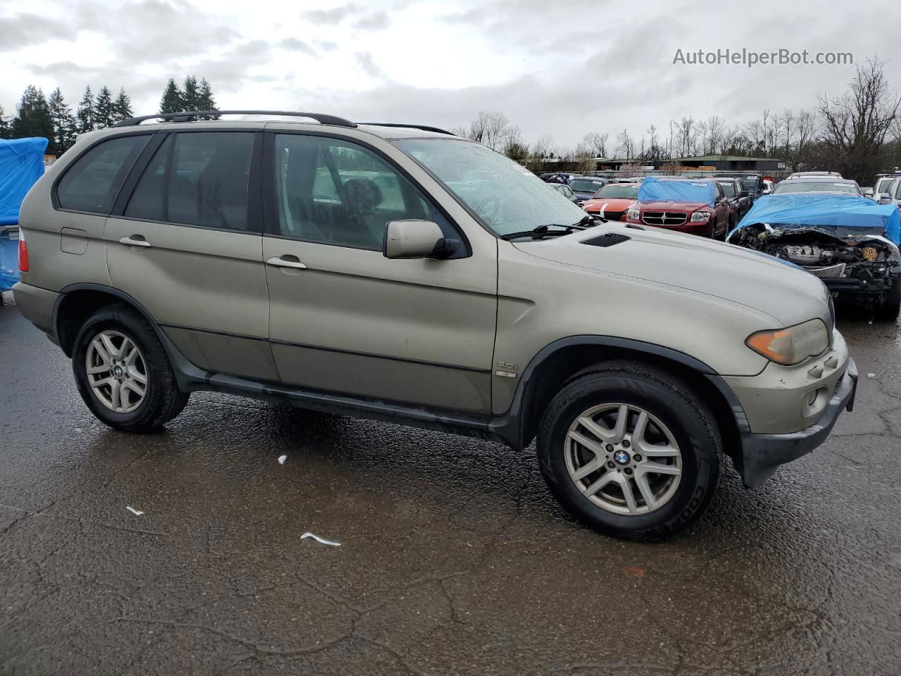 2004 Bmw X5 3.0i Gold vin: 5UXFA13514LU34239