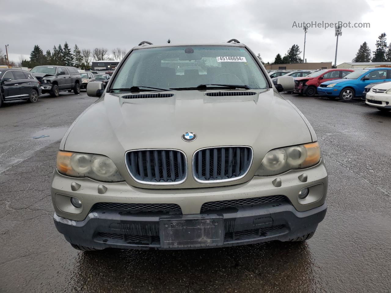 2004 Bmw X5 3.0i Gold vin: 5UXFA13514LU34239