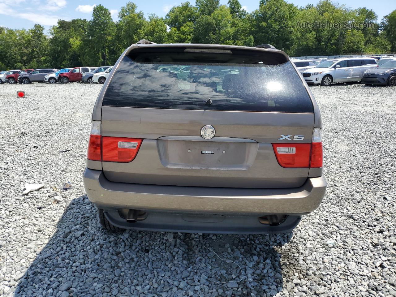 2004 Bmw X5 3.0i Beige vin: 5UXFA13534LU43461