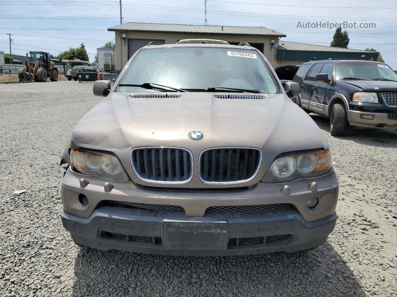 2004 Bmw X5 3.0i Бежевый vin: 5UXFA13554LU38861