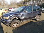 2004 Bmw X5 3.0i Blue vin: 5UXFA13564LU23544