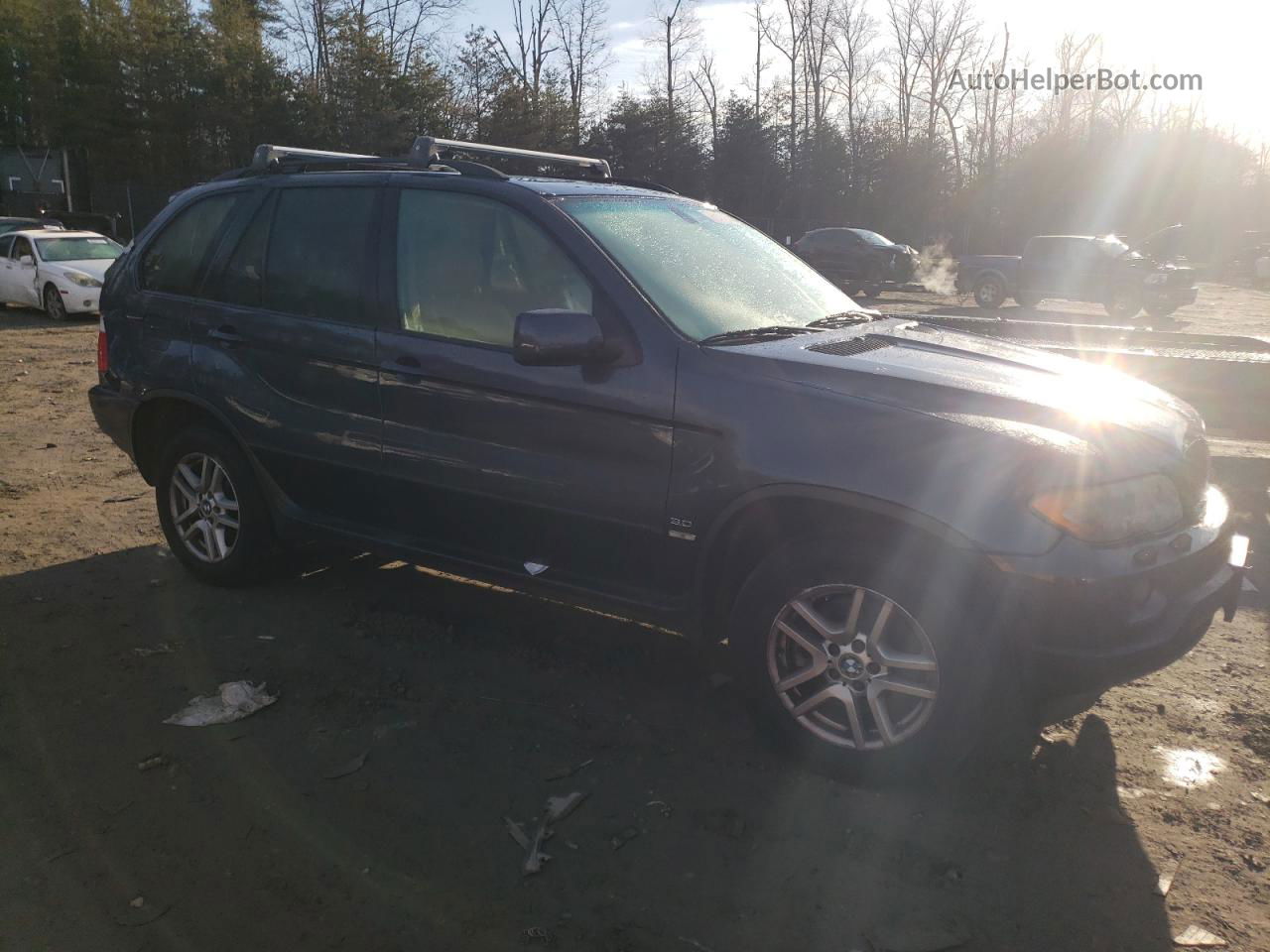 2004 Bmw X5 3.0i Blue vin: 5UXFA13564LU23544