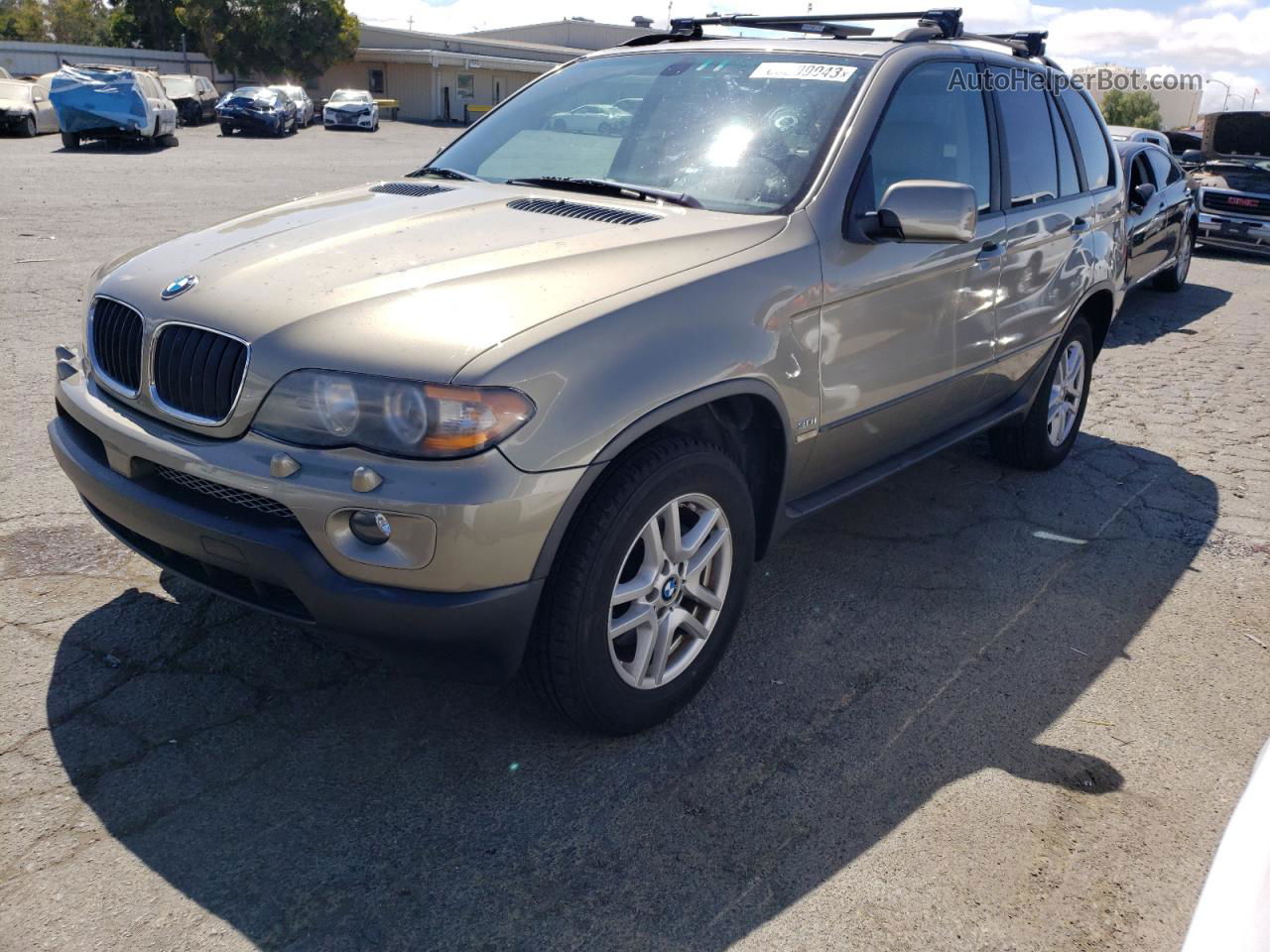 2004 Bmw X5 3.0i Желто-коричневый vin: 5UXFA13574LU41521