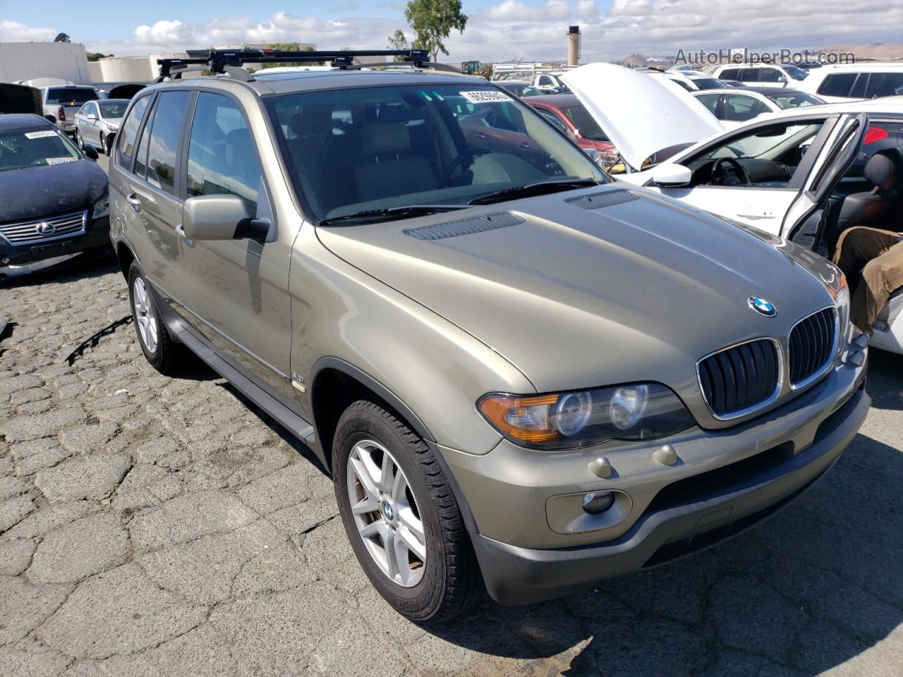 2004 Bmw X5 3.0i Желто-коричневый vin: 5UXFA13574LU41521