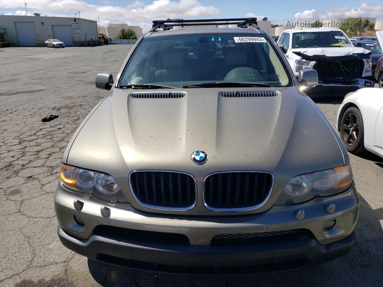 2004 Bmw X5 3.0i Желто-коричневый vin: 5UXFA13574LU41521