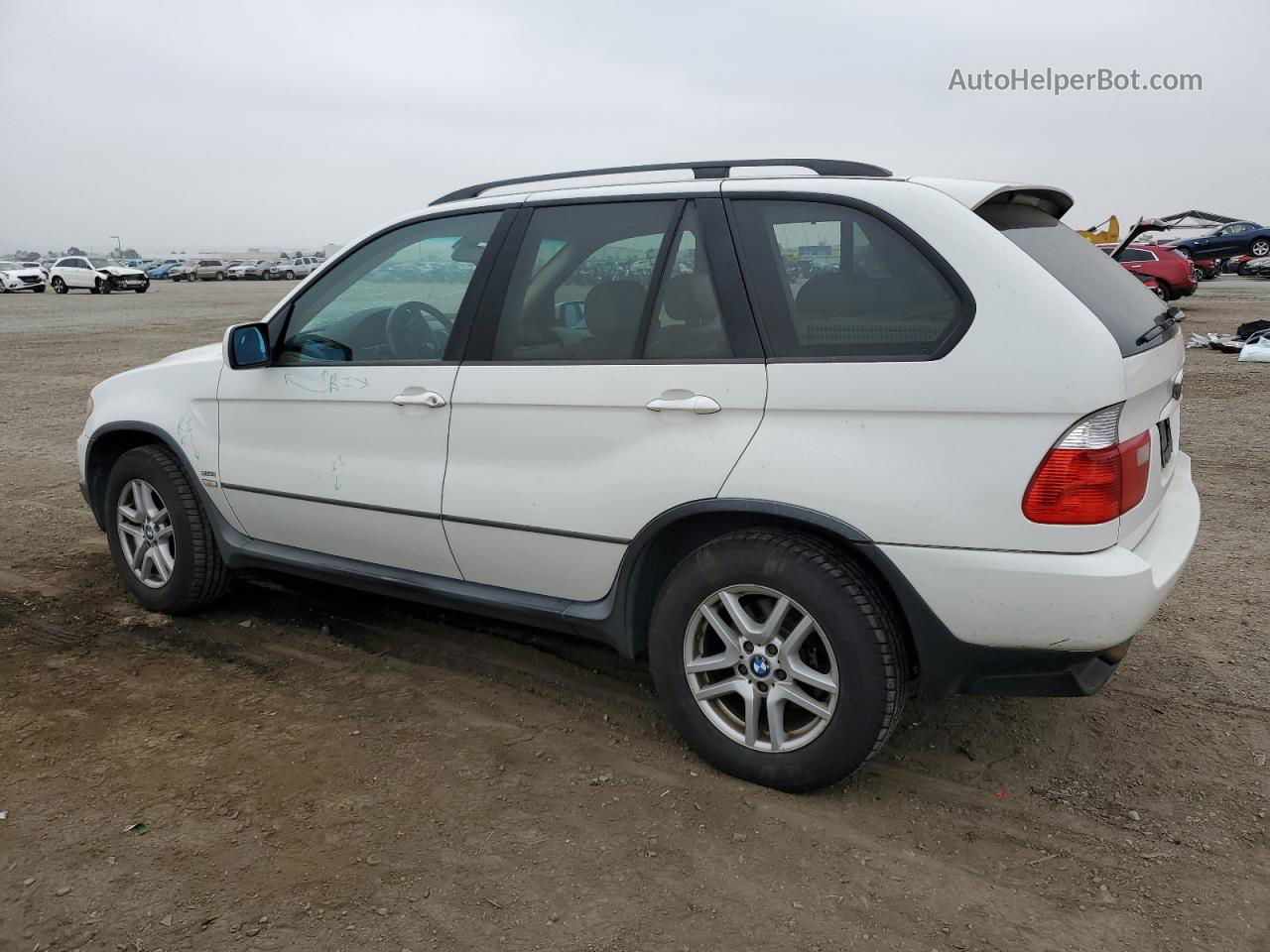 2004 Bmw X5 3.0i White vin: 5UXFA13584LU46324