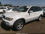 2004 Bmw X5 3.0i White vin: 5UXFA13594LU31976