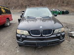 2004 Bmw X5 3.0i Black vin: 5UXFA135X4LU35115