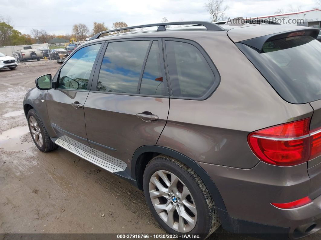 2012 Bmw X5 Xdrive35i/xdrive35i Premium/xdrive35i Sport Activity Brown vin: 5UXZV4C50CL985179