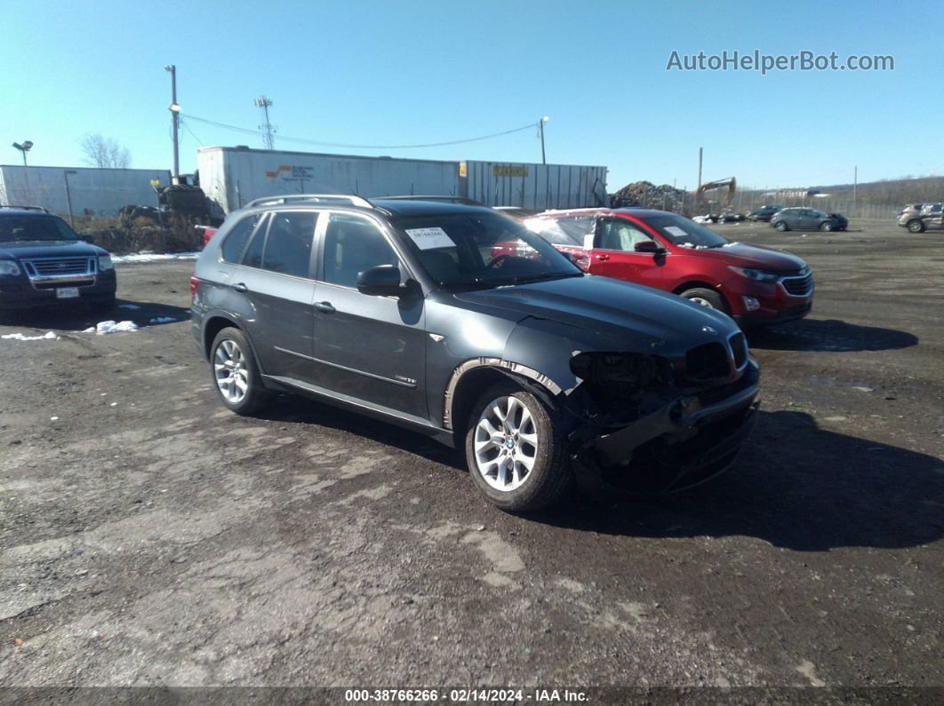 2011 Bmw X5 Xdrive35i/xdrive35i Premium/xdrive35i Sport Activity Gray vin: 5UXZV4C58BL740774