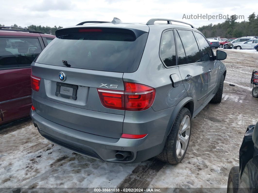 2011 Bmw X5 Xdrive35i/xdrive35i Premium/xdrive35i Sport Activity Gray vin: 5UXZV4C59BL402249