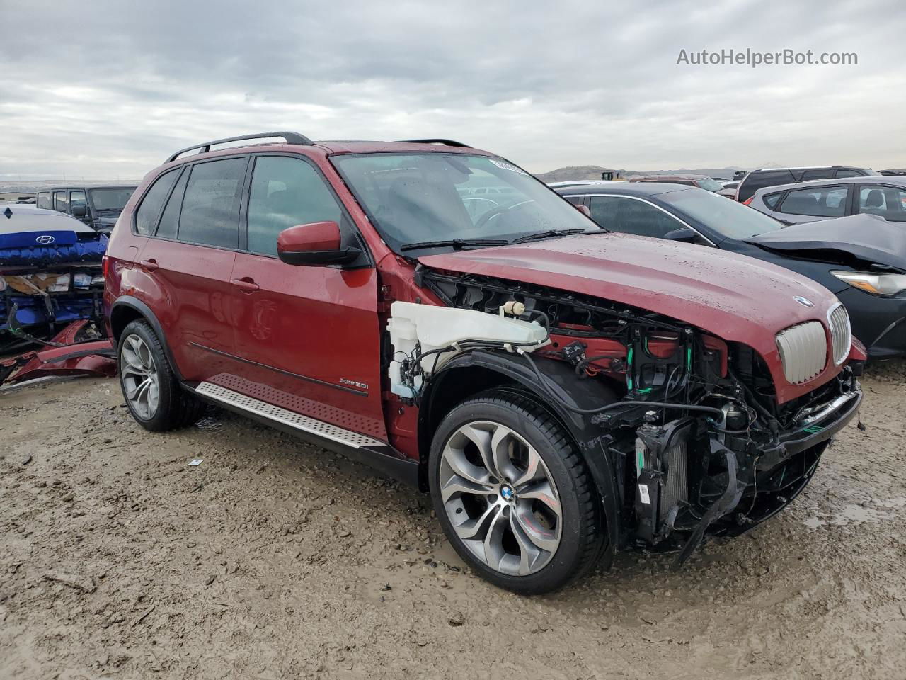 2011 Bmw X5 Xdrive50i Burgundy vin: 5UXZV8C50BL417102