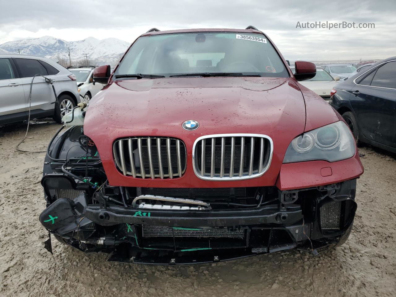 2011 Bmw X5 Xdrive50i Burgundy vin: 5UXZV8C50BL417102