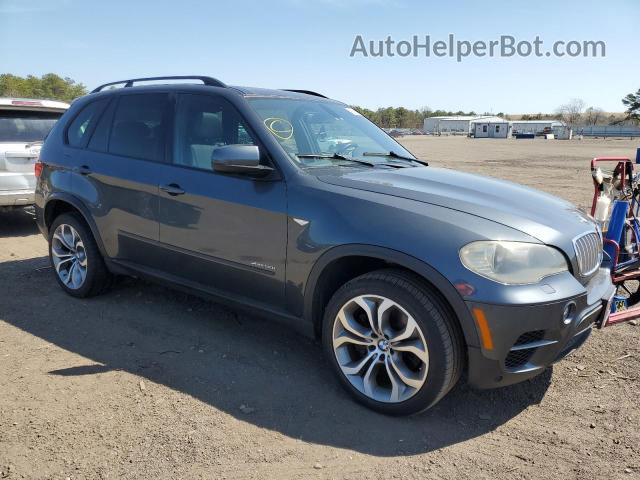 2011 Bmw X5 Xdrive50i Gray vin: 5UXZV8C53BL417773