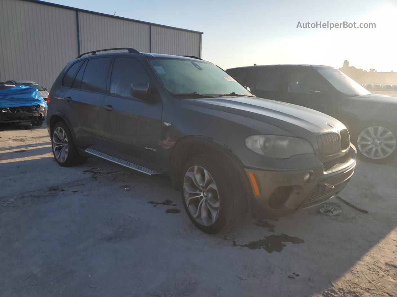 2011 Bmw X5 Xdrive50i Gray vin: 5UXZV8C5XBL418659