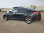 2014 Kia Optima Lx Black vin: 5XXGM4A70EG272611