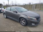 2014 Kia Optima Lx Gray vin: 5XXGM4A71EG264517