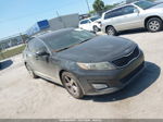 2014 Kia Optima Lx Black vin: 5XXGM4A71EG332413