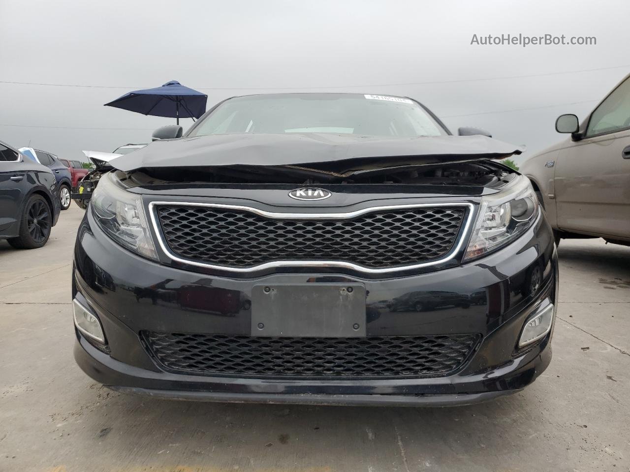 2014 Kia Optima Lx Black vin: 5XXGM4A71EG343511