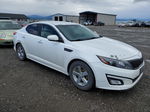 2014 Kia Optima Lx White vin: 5XXGM4A71EG348210