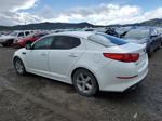 2014 Kia Optima Lx White vin: 5XXGM4A71EG348210