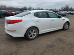 2014 Kia Optima Lx White vin: 5XXGM4A71EG350510