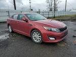 2015 Kia Optima Lx Red vin: 5XXGM4A71FG473595