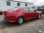 2014 Kia Optima Lx Burgundy vin: 5XXGM4A72EG308525