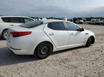 2013 Kia Optima Lx Белый vin: 5XXGM4A73DG221568