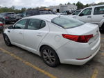 2013 Kia Optima Lx White vin: 5XXGM4A73DG224518