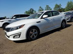 2014 Kia Optima Lx Белый vin: 5XXGM4A73EG273073