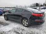 2015 Kia Optima Lx Black vin: 5XXGM4A73FG408313