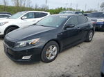 2014 Kia Optima Lx Black vin: 5XXGM4A74EG319011