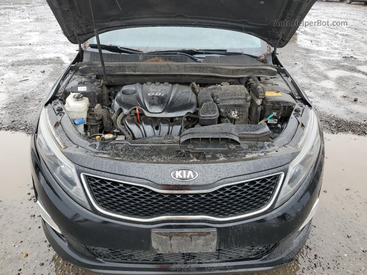 2015 Kia Optima Lx Black vin: 5XXGM4A75FG437957