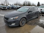 2015 Kia Optima Lx Black vin: 5XXGM4A75FG437957