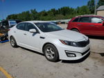 2014 Kia Optima Lx White vin: 5XXGM4A76EG261564