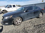 2014 Kia Optima Lx Black vin: 5XXGM4A76EG310391