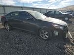 2014 Kia Optima Lx Black vin: 5XXGM4A76EG310391