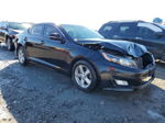 2014 Kia Optima Lx Black vin: 5XXGM4A76EG345657