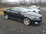 2014 Kia Optima Lx Black vin: 5XXGM4A77EG298378