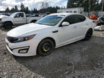 2014 Kia Optima Lx White vin: 5XXGM4A77EG345909