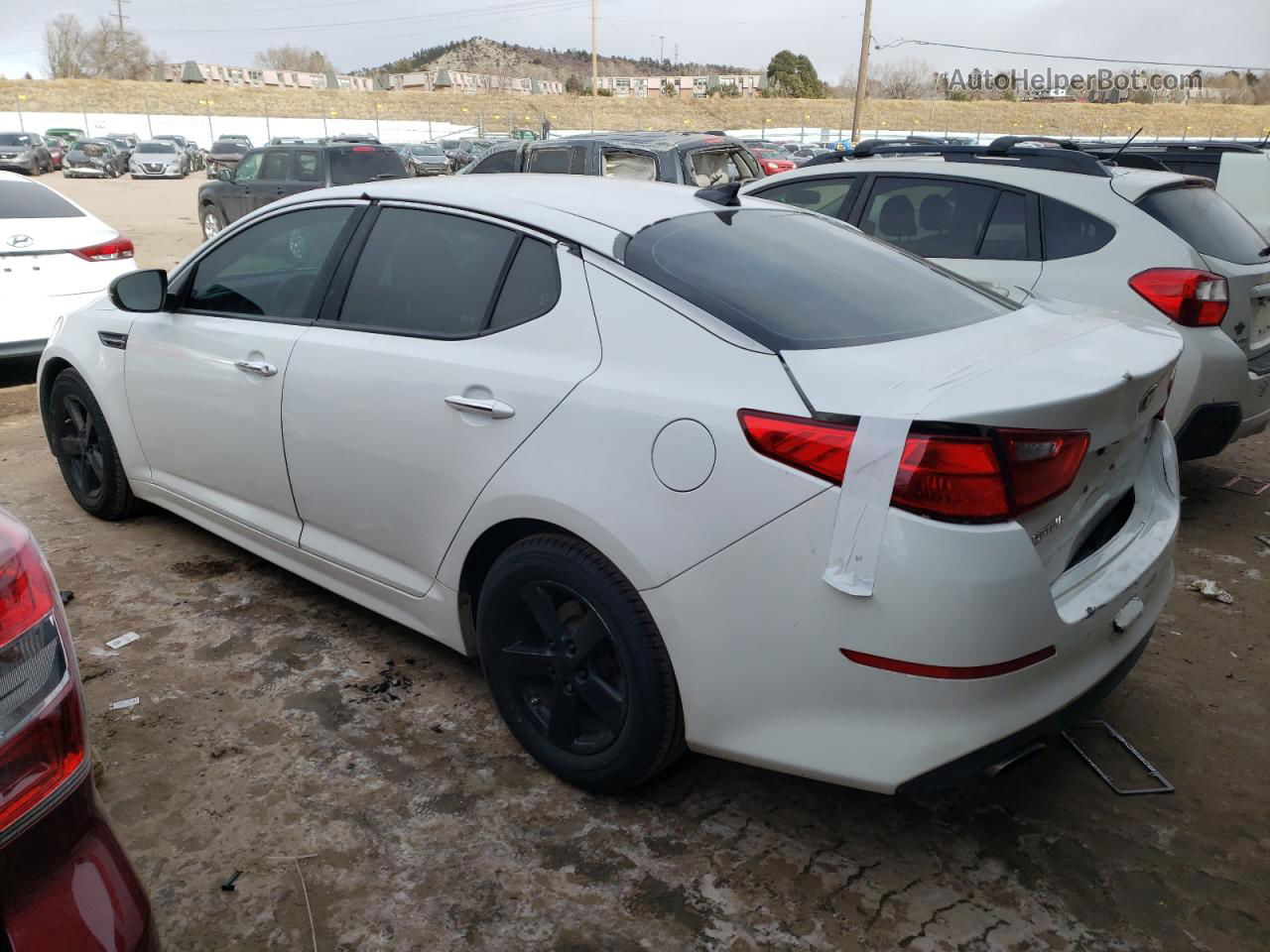 2015 Kia Optima Lx Белый vin: 5XXGM4A77FG410078