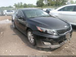 2014 Kia Optima Lx Черный vin: 5XXGM4A78EG346177