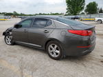 2014 Kia Optima Lx Gray vin: 5XXGM4A79EG346401