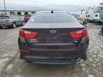 2014 Kia Optima Lx Фиолетовый vin: 5XXGM4A7XEG261499