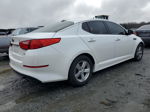 2015 Kia Optima Lx Белый vin: 5XXGM4A7XFG460277