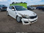 2014 Kia Optima Ex White vin: 5XXGN4A74EG297167