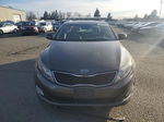 2014 Kia Optima Ex Gray vin: 5XXGN4A74EG312329