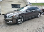 2014 Kia Optima Ex Золотой vin: 5XXGN4A76EG344232